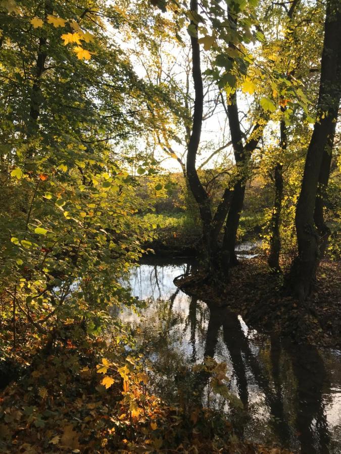 La Suite Cosy - Votre Pause Arboree La Bruyere Luaran gambar