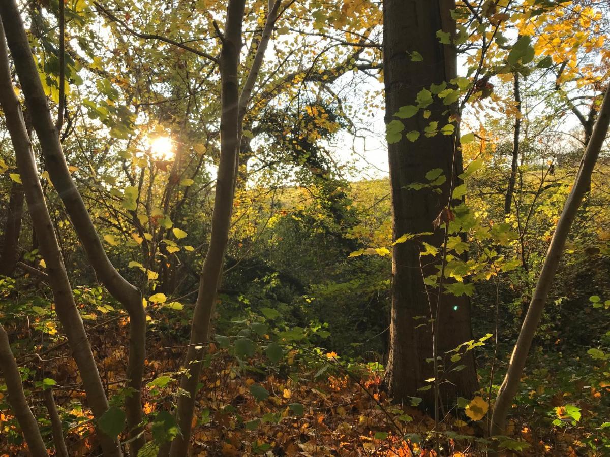 La Suite Cosy - Votre Pause Arboree La Bruyere Luaran gambar