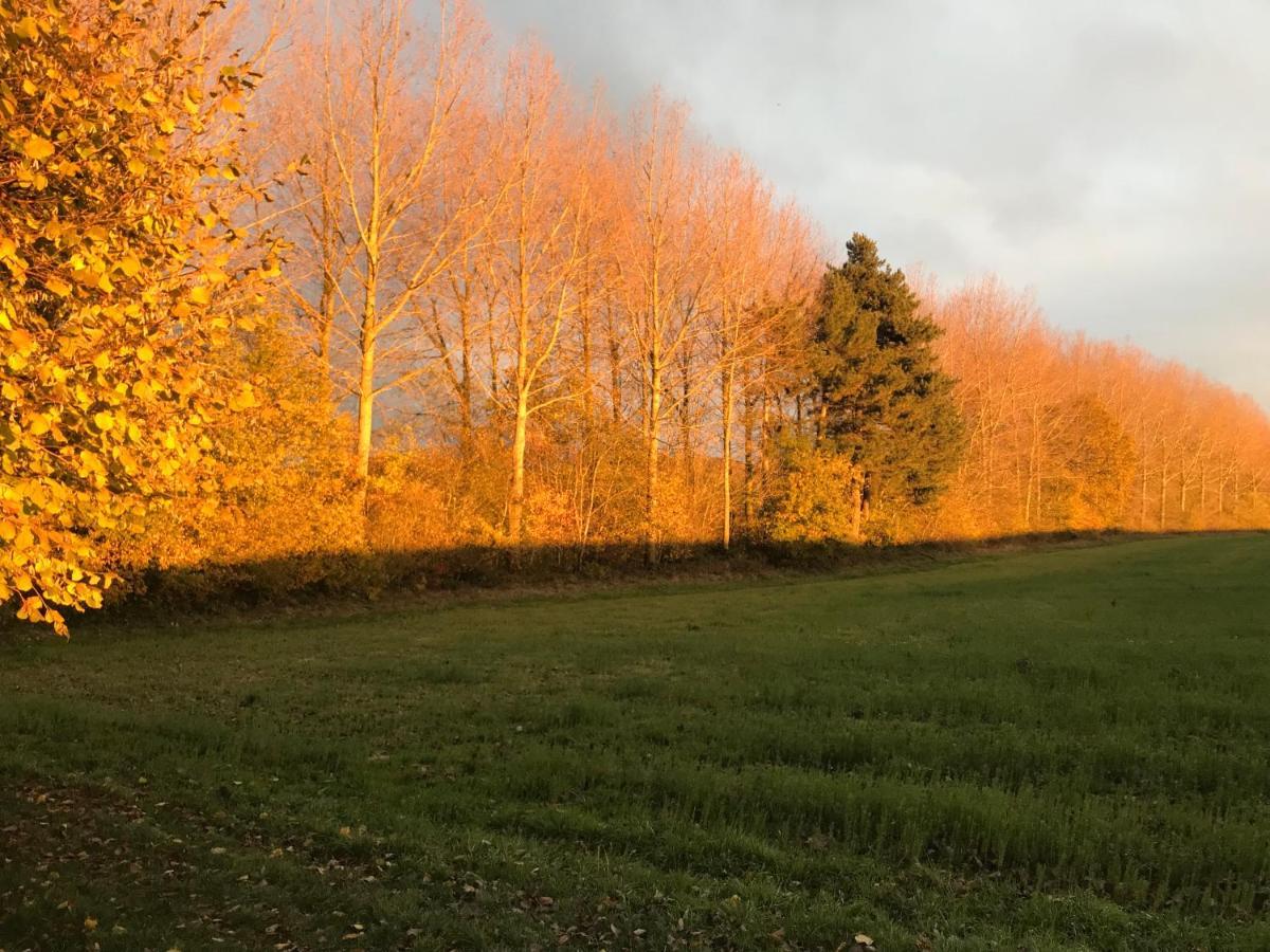 La Suite Cosy - Votre Pause Arboree La Bruyere Luaran gambar