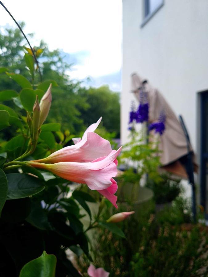 La Suite Cosy - Votre Pause Arboree La Bruyere Luaran gambar