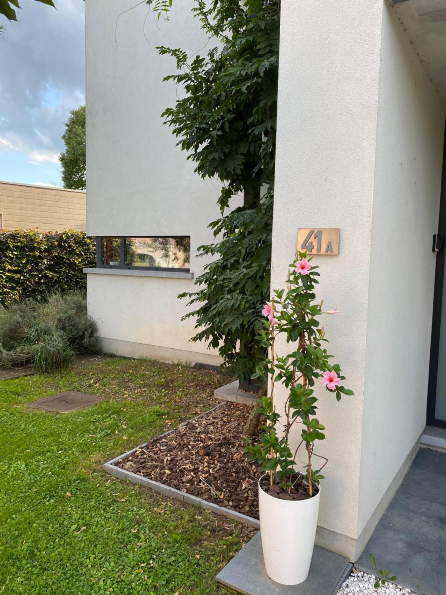 La Suite Cosy - Votre Pause Arboree La Bruyere Luaran gambar